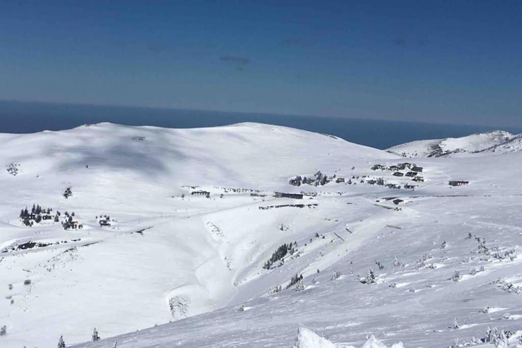 Chalet Ascou-Pailheres Eksteriør bilde